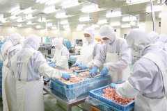 食品污水处理方案