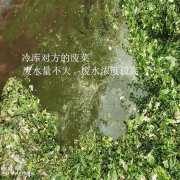 泡菜污水处理设备